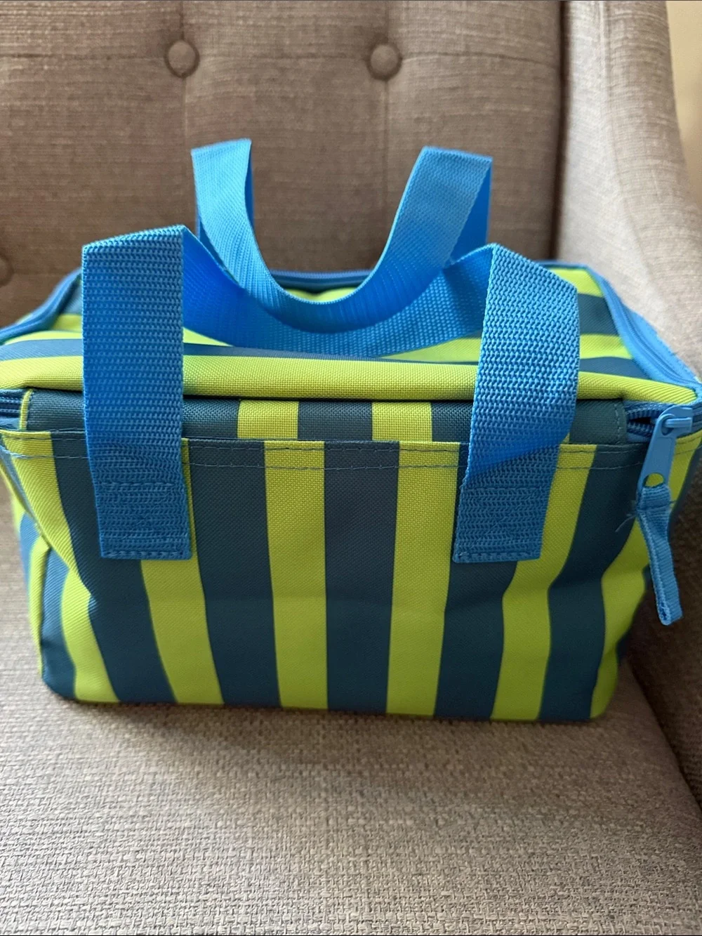 Striped Mini Insulated Bag in Blue & Green